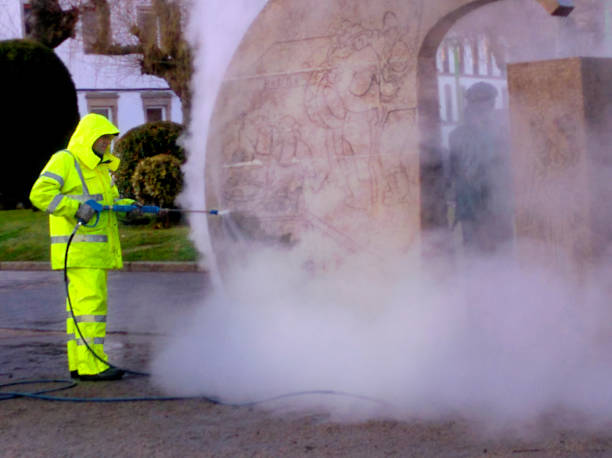 Best Roof Pressure Washing  in Shoemakersville, PA